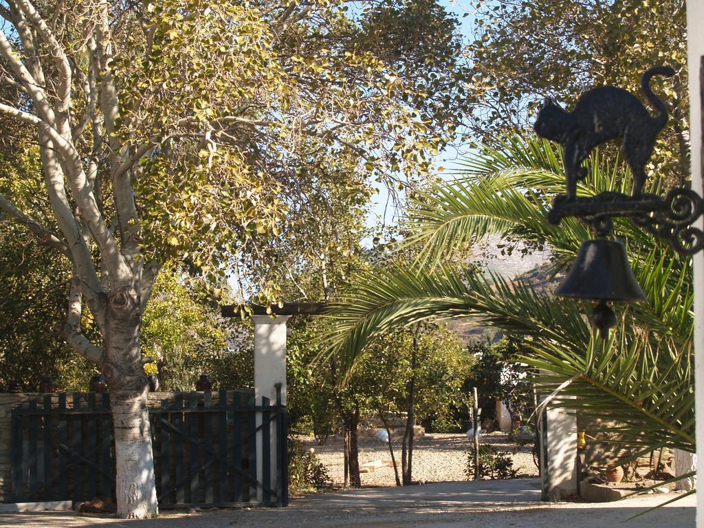Pegasus Studios & Apartments Скирос Экстерьер фото